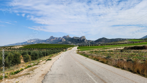 Rural road between the villages Guveloglu and Catalpinar in Yuregir district in Adana province, Turkey. photo