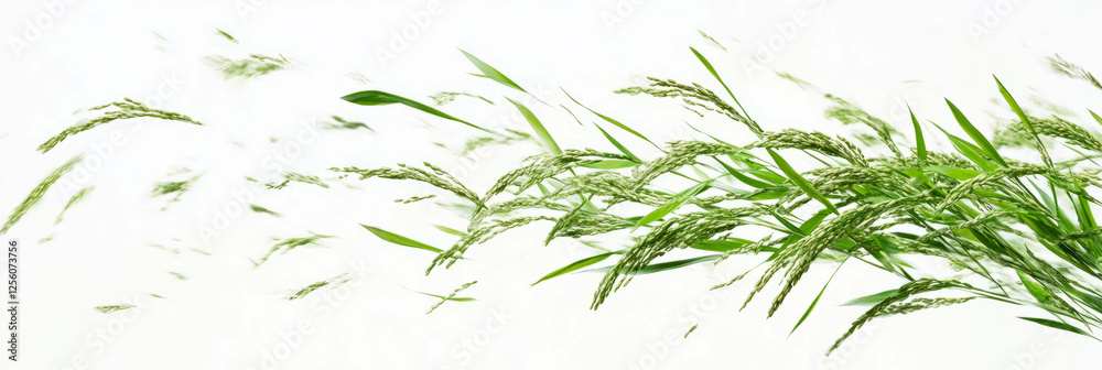 Naklejka premium Close-up view of rice plants swaying gracefully in the wind against a bright backdrop