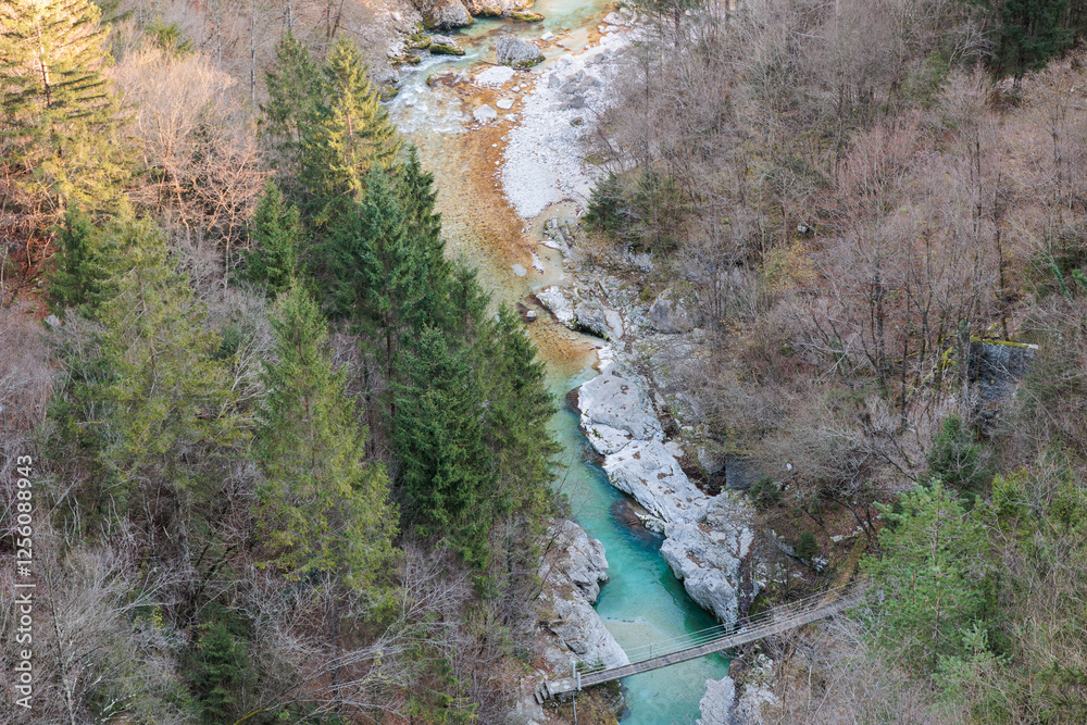 dettagli del fiume Isonzo, nella Slovenia nord-occidentale, circondato da sponde ricche di alberi, di giorno, in inverno