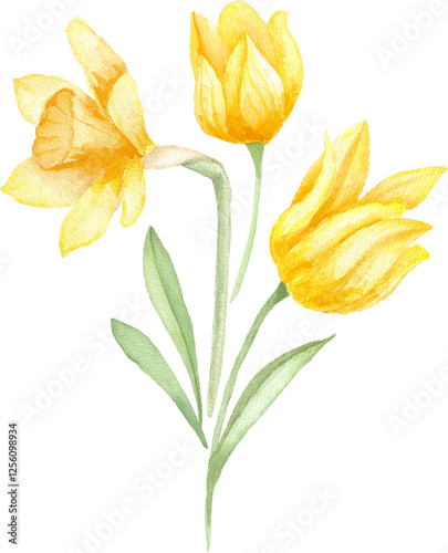 Fresh Daffodils and Tulips for Spring