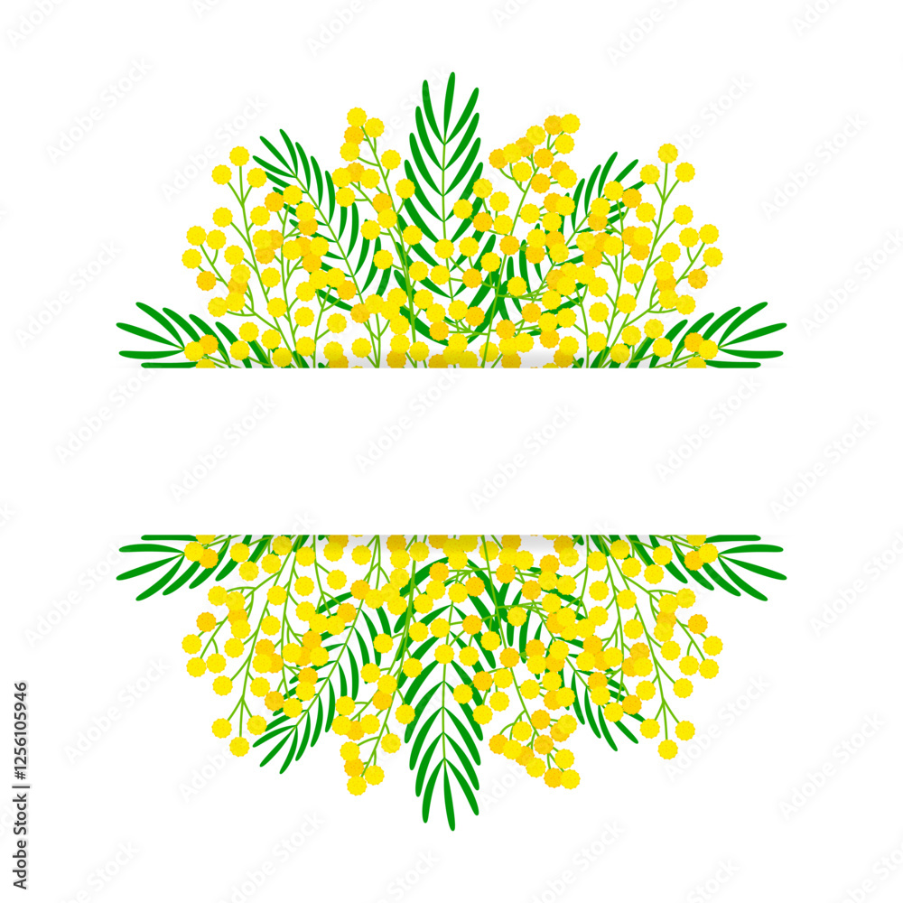 Horizontal festive banner with mimosa flowers. Botanical frame with space for text for International Womens Day, Mothers Day. Spring arrival concept. Vector illustration Horizontal festive banner with mimosa flowers. Botanical frame with space for text for International Womens Day, Mothers Day. Spring arrival concept. Vector illustration