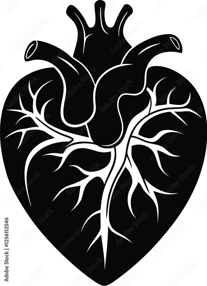 human heart silhouette, human heart vector icon design, anatomical illustration graphic human heart silhouette, human heart vector icon design, anatomical illustration graphic