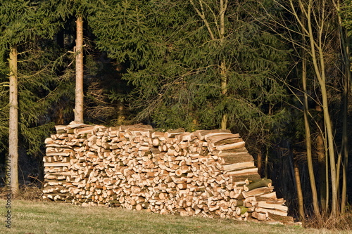 Pile of stacked firewood in the forest. Reserve for winter. photo