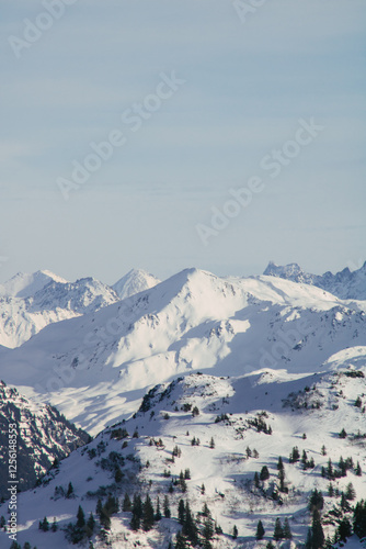 Verschneite Berglandschaft mit Tannen in den Alpen photo