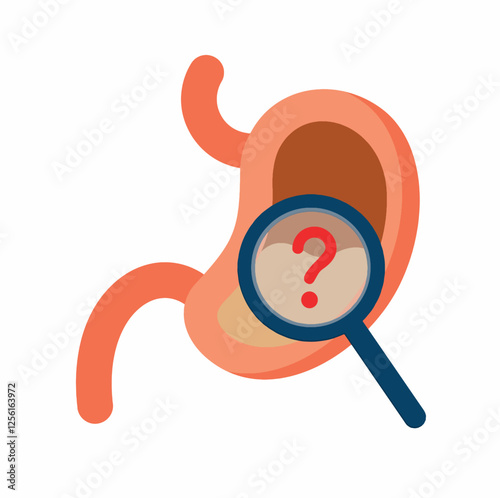 Human stomach with question mark isolated on white. Stomach, magnifying glass, red question mark on it. Causes of stomach diseases. Research and diagnosis of stomach disease.