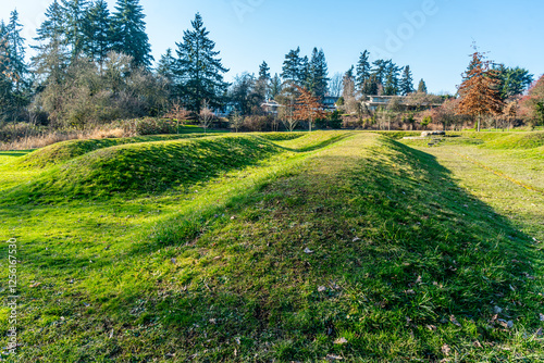 Mercer Island Park Mounds photo