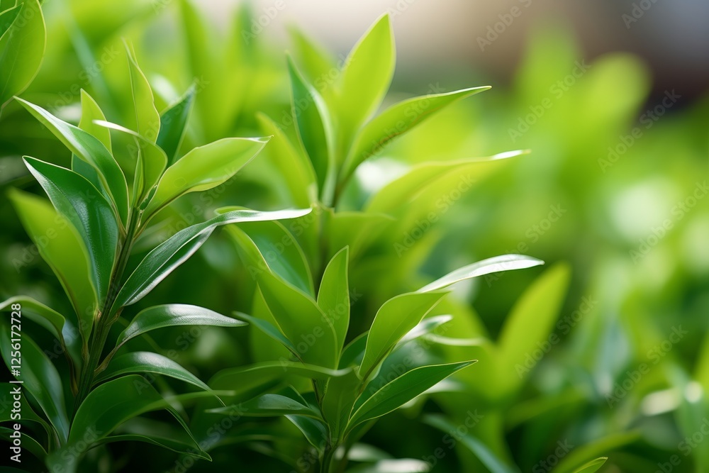 Naklejka premium Vibrant abstract green foliage illuminated by gentle natural light. Generative AI