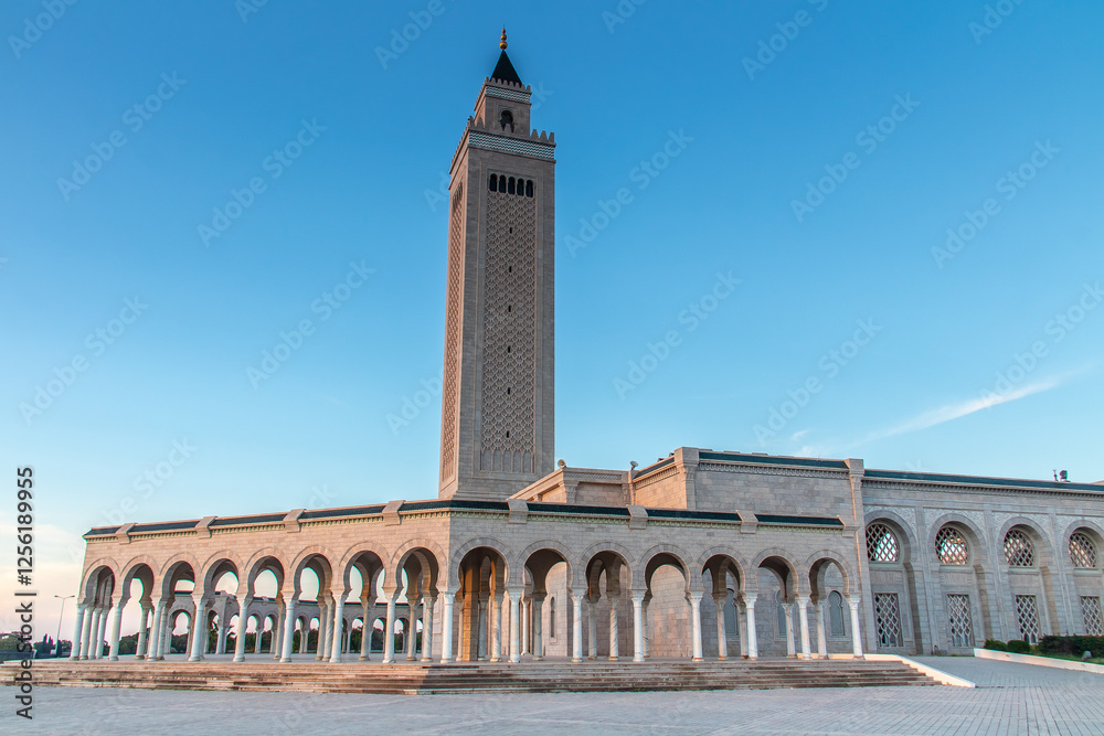Fototapeta premium Mosque Malik ibn Anas in Carthage, Tunisia, North Africa