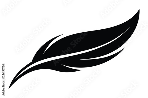 black and white feather