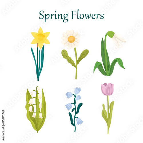 Set of vector illustrations simple flat style with sets of different spring flowers. Narcissus, cornflowers, tulip, chamomile, bells, snowdrop. Spring and Summer collection