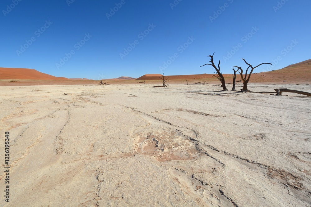 Landschaft beim Dead Vlei im Namib-Naukluft Nationalpark Landschaft beim Dead Vlei im Namib-Naukluft Nationalpark