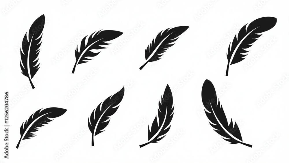 feathers vector illustration