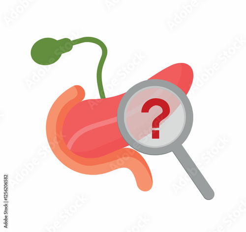 Human pancreas with question mark isolated on white. Pancreas, magnifying glass, red question mark on it. Causes of pancreas diseases. Research and diagnosis of pancreas disease.