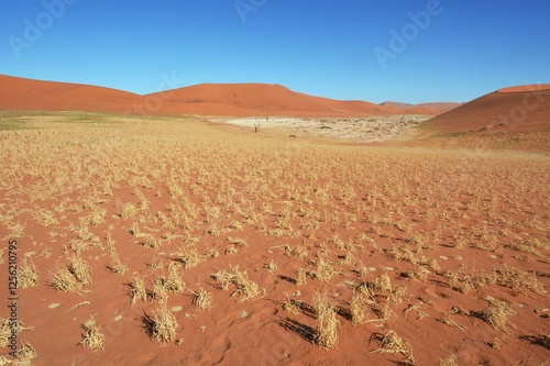 Landschaft beim Dead Vlei im Namib-Naukluft Nationalpark photo