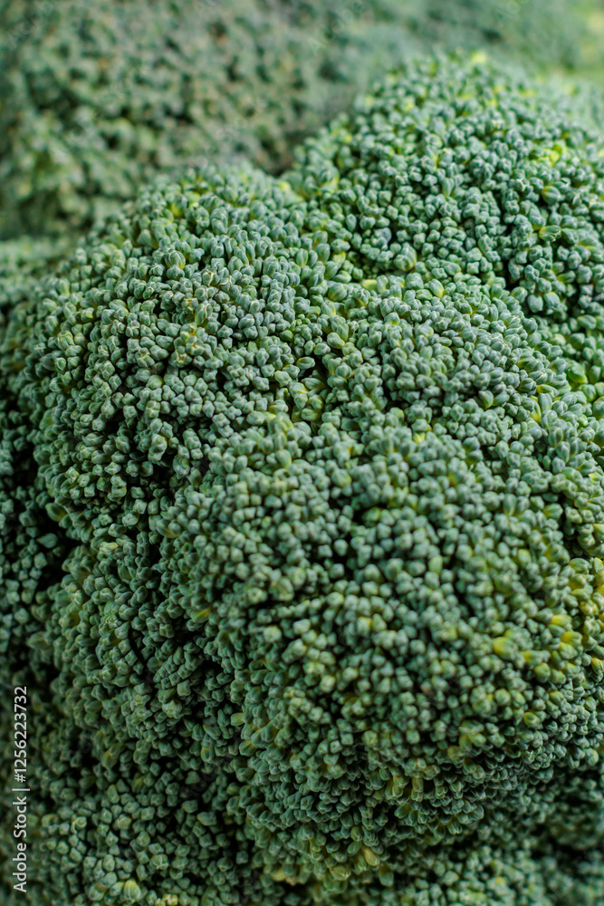 Macro broccoli texture and details Macro broccoli texture and details