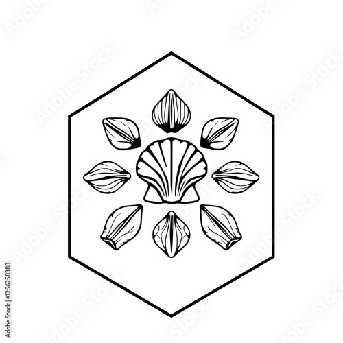 Shells are arranged in a hexagon with radial pattern of petals, inside is a clam shell in the middle.