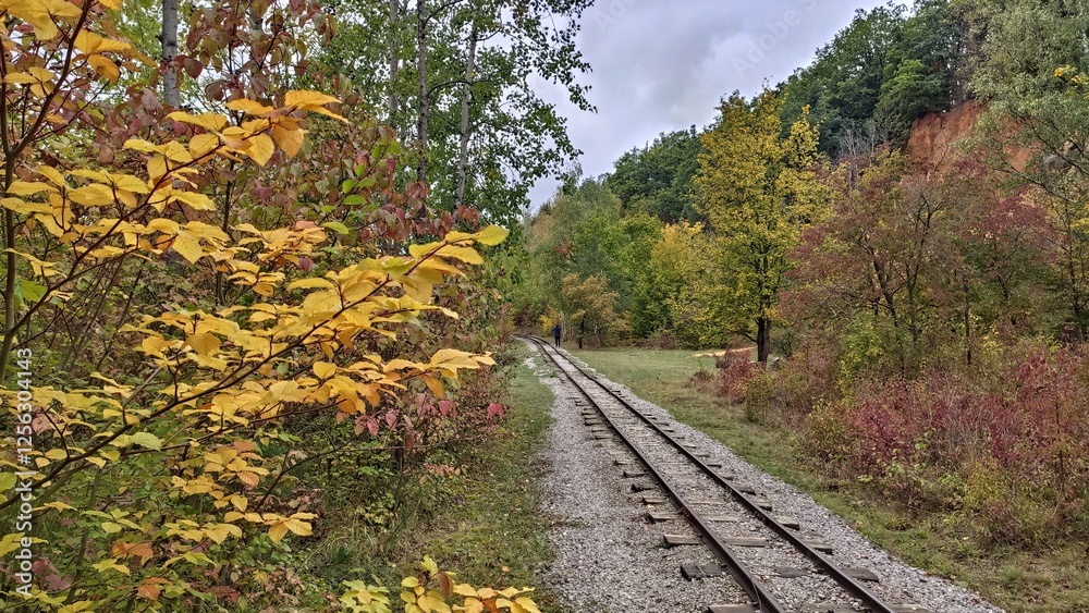 Abandoned tracks of the former mining railway Abandoned tracks of the former mining railway
