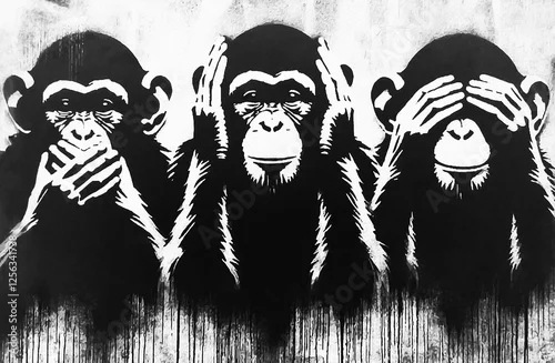 Fototapeta samoprzylepna Three Wise Monkeys Apes chimp isolated on white background. See hear say concept. 3 monkey sit with closed eyes, mouth ears.  blind, deaf mute animal illustration. no see, hear, speak evil