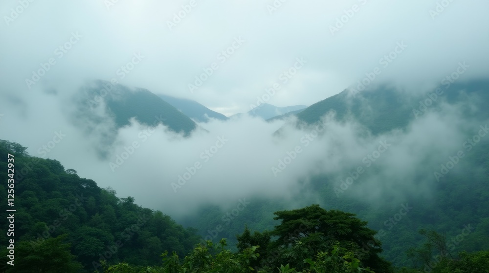 Misty Mountain Landscape with Lush Greenery and Dense Fog Misty Mountain Landscape with Lush Greenery and Dense Fog