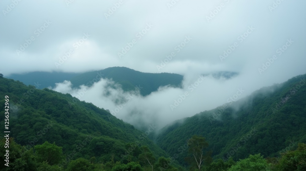 Serene Mountain Landscape with Misty Clouds and Lush Green Forest Serene Mountain Landscape with Misty Clouds and Lush Green Forest