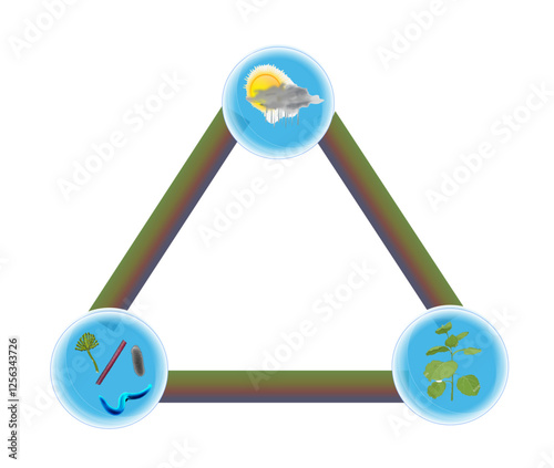 Disease Triangle