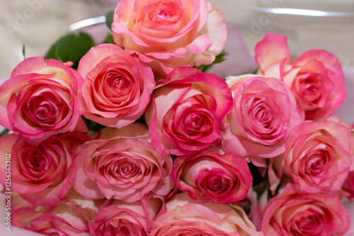 pink roses bouqet close up