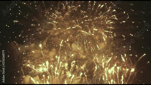 fireworks in the night sky