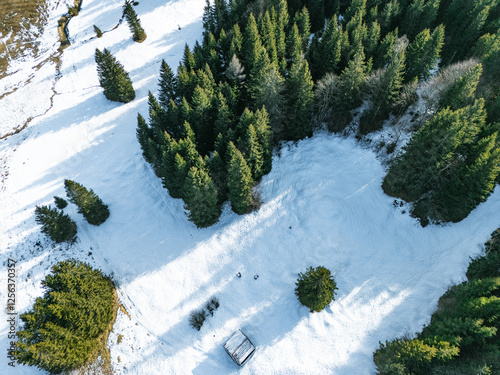Aerial landscape view on cottage, fir forest and snow covered fields in the mountains