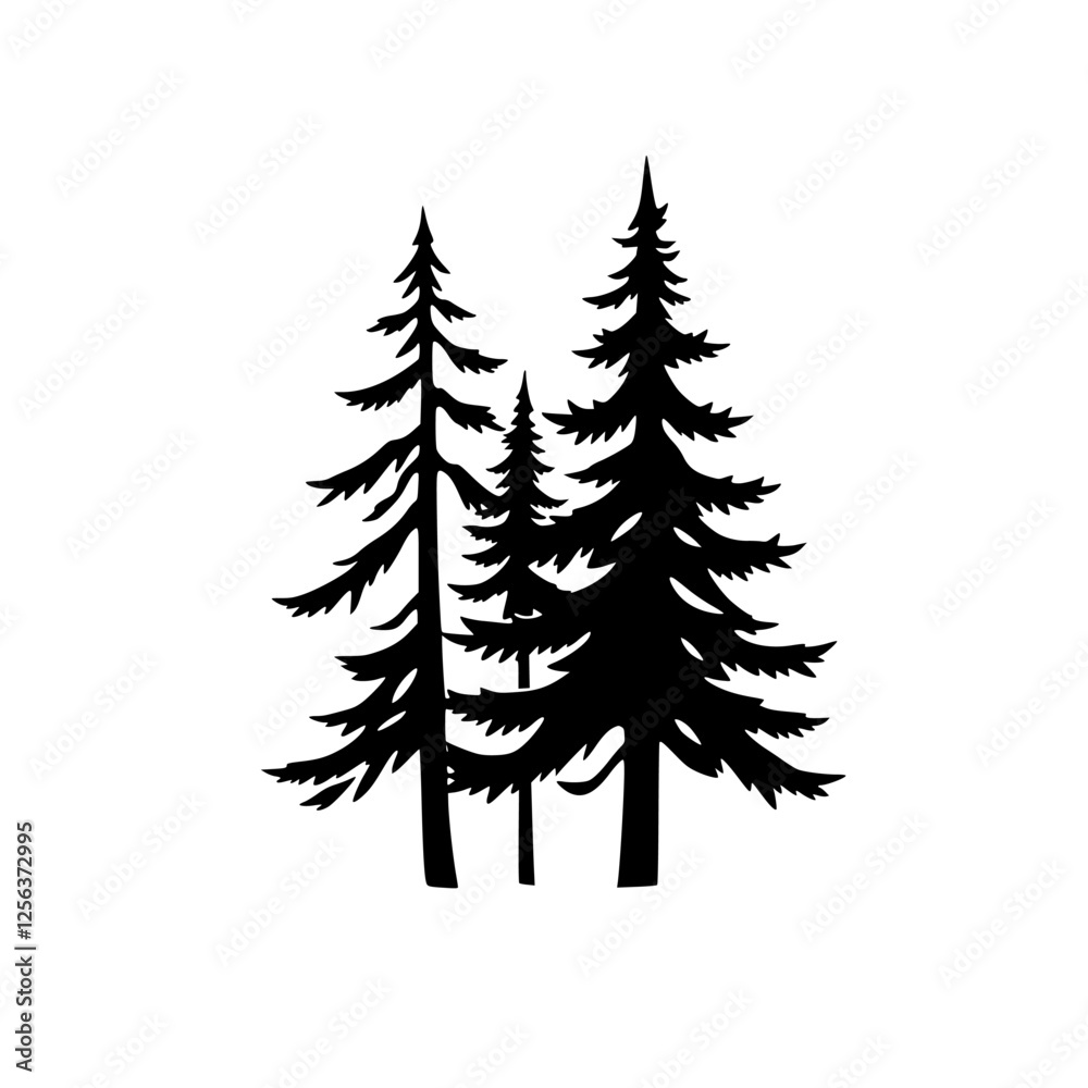 Fototapeta premium Silhouetted Conifers on White Background