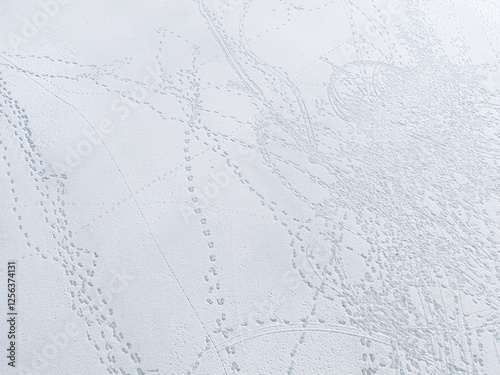 Quadro em tela Footprints on the white iced water surface of the lake