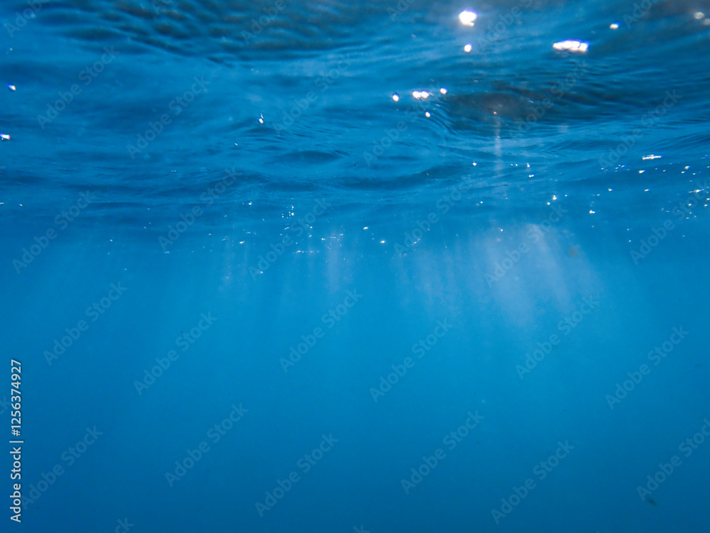 bubbles, bubble, water, underwater, sea, air, deep, undersea, under, background, wave, liquid, clear, clean, ocean, nature, texture, oxygen, blue, white, effect, transparent, foam, aquarium, aqua. bubbles, bubble, water, underwater, sea, air, deep, undersea, under, background, wave, liquid, clear, clean, ocean, nature, texture, oxygen, blue, white, effect, transparent, foam, aquarium, aqua.