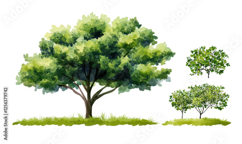 Minimalist Watercolor Green Trees Vector for Landscape Architectural Design