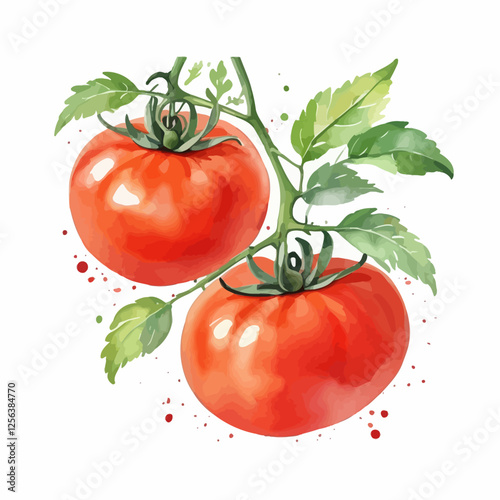Hand-drawn watercolor tomato set with whole, sliced, and cherry tomatoes on a white background. Perfect for organic food, culinary, and farm designs.