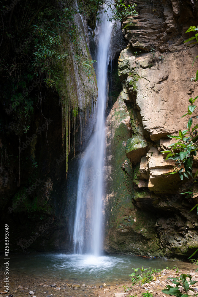Obraz premium beautiful photo of waterfall in the forest