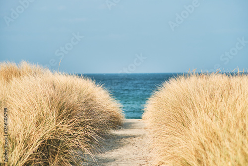 Fototapeta Naklejka Na Ścianę i Meble -  Path to the baltic sea at Rerik. High quality photo