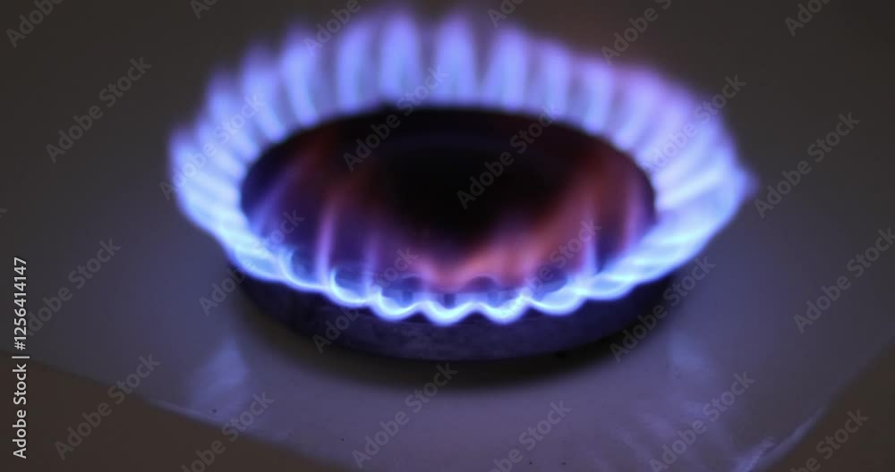 kitchen burner gas stove fire. stove gas burner flame. burner gas closeup. gas stove kitchen burning. stove burner blue flame. kitchen fire dark. blue fire. kitchen flame turning on
kitchen burner gas stove fire. stove gas burner flame. burner gas closeup. gas stove kitchen burning. stove burner blue flame. kitchen fire dark. blue fire. kitchen flame turning on