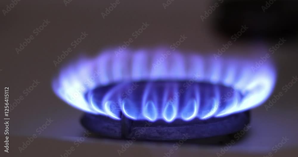 Against a dark background, a domestic kitchen gas cooking hob burner ignites and burns before being turned off.
Against a dark background, a domestic kitchen gas cooking hob burner ignites and burns before being turned off.