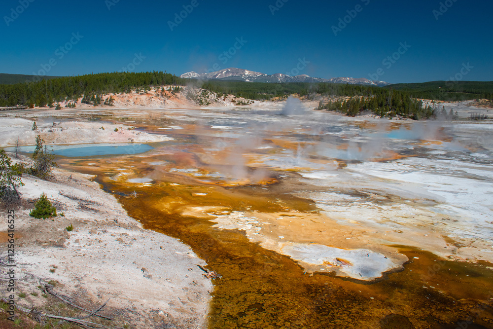 Norris Geyser Basin, Yellowstone National Park Norris Geyser Basin, Yellowstone National Park