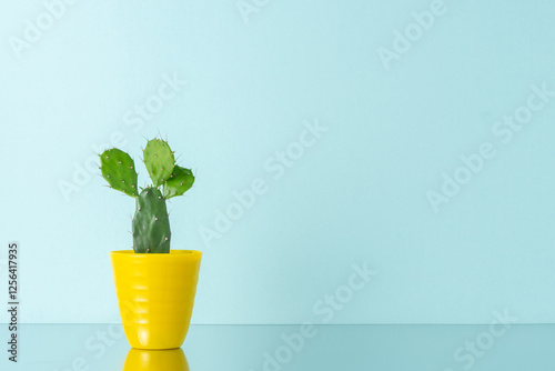 Cactus plant in yellow pot on bright background. Minimal composition.
