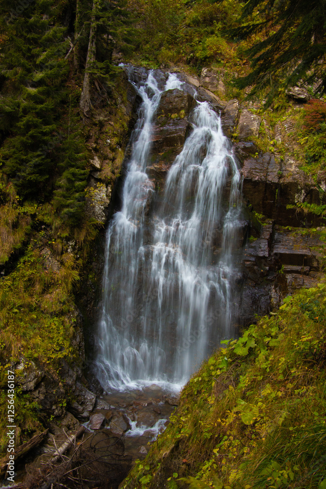 Obraz premium waterfall in the forest