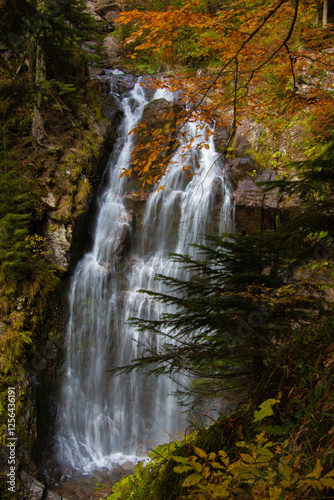 waterfall in the forest