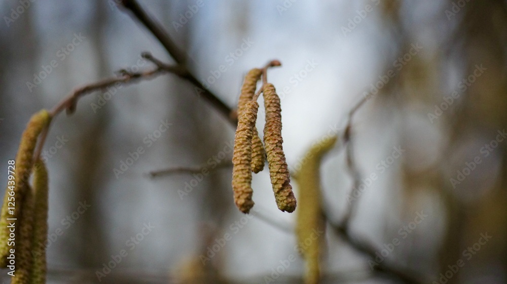 Le printemps arrive Le printemps arrive