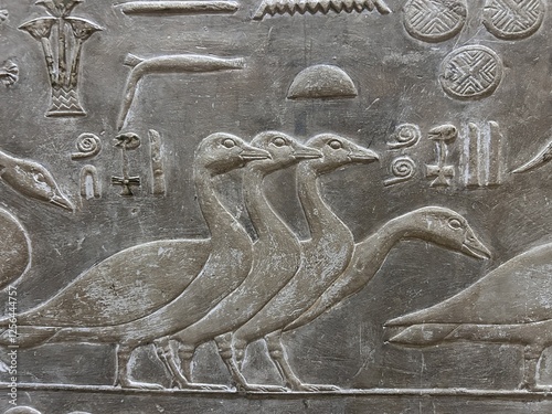 Reliefs from the tomb of Ptahhotep showing daily activities such as offerings, hunting, fishing and agricultural activities and sports in Saqqara in Egypt	