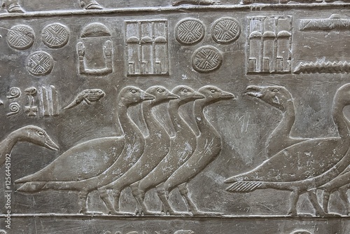 Reliefs from the tomb of Ptahhotep showing daily activities such as offerings, hunting, fishing and agricultural activities and sports in Saqqara in Egypt	