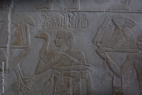 Reliefs from the tomb of Ptahhotep showing daily activities such as offerings, hunting, fishing and agricultural activities and sports in Saqqara in Egypt	