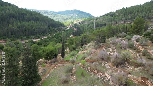 Jerusalem Mountains 