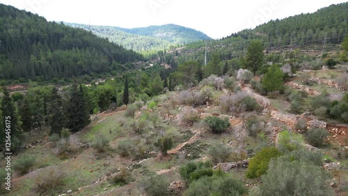 Landscape of the Jerusalem Mountains 