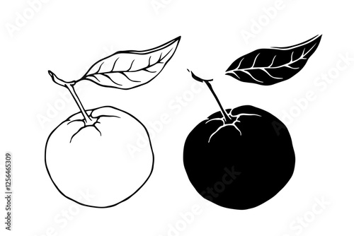 Line sketch, silhouette, stamp of citrus fruit orange. Vector graphics.