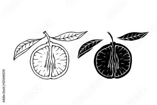 Line sketch, silhouette, stamp of citrus fruit orange. Vector graphics.