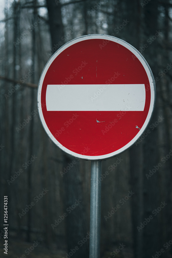 Silent Warning: Stop Sign in a Gloomy Forest Silent Warning: Stop Sign in a Gloomy Forest